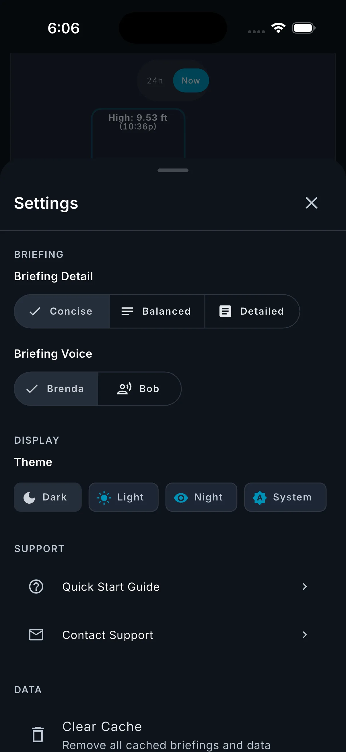 Settings drawer showing briefing detail level and voice selection options.