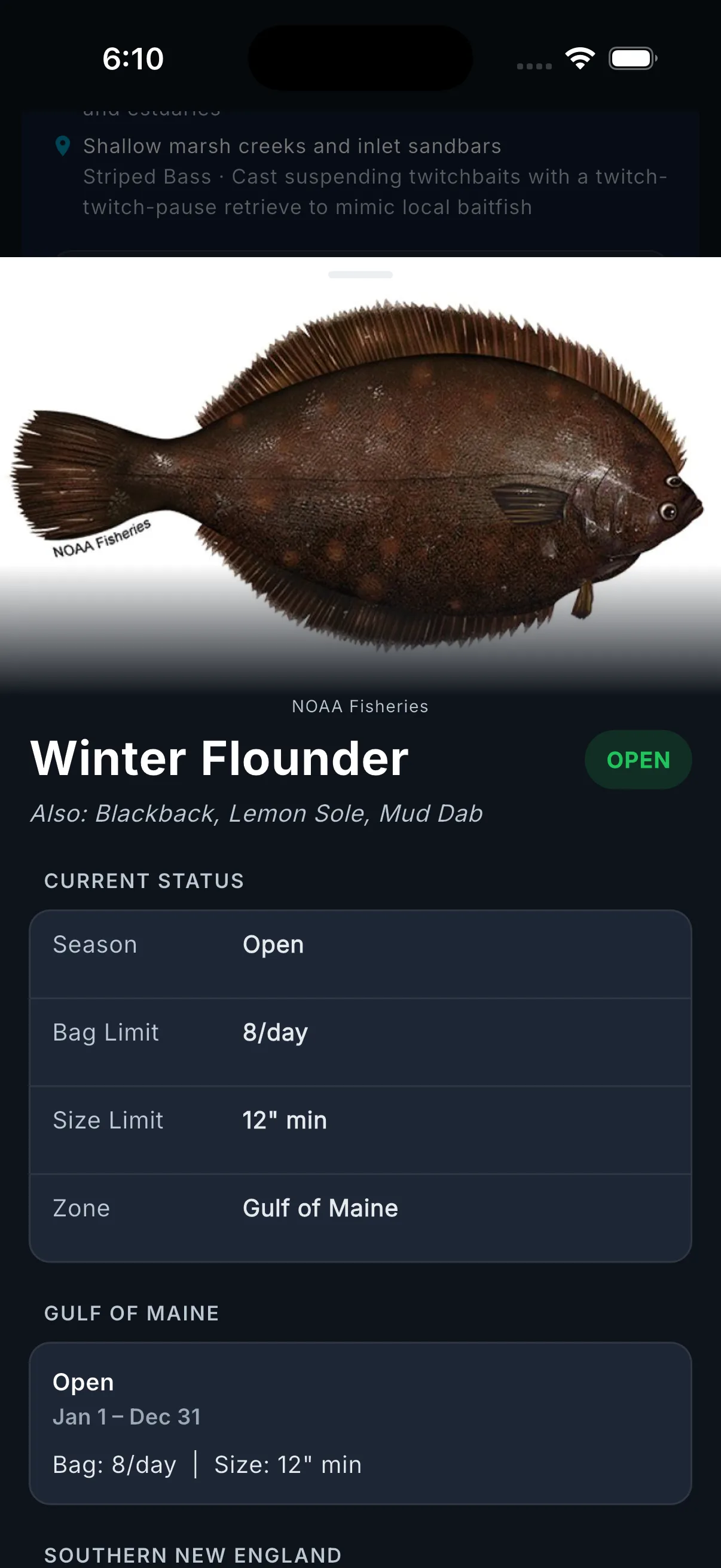 Species detail drawer showing photo, season dates, and size limits.